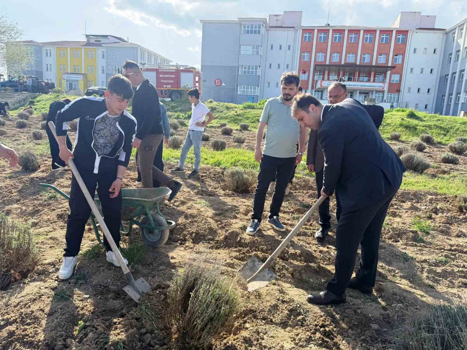 Çavdarhisar’da öğrenciler okulun tarım alanına lavanta fidanı dikti