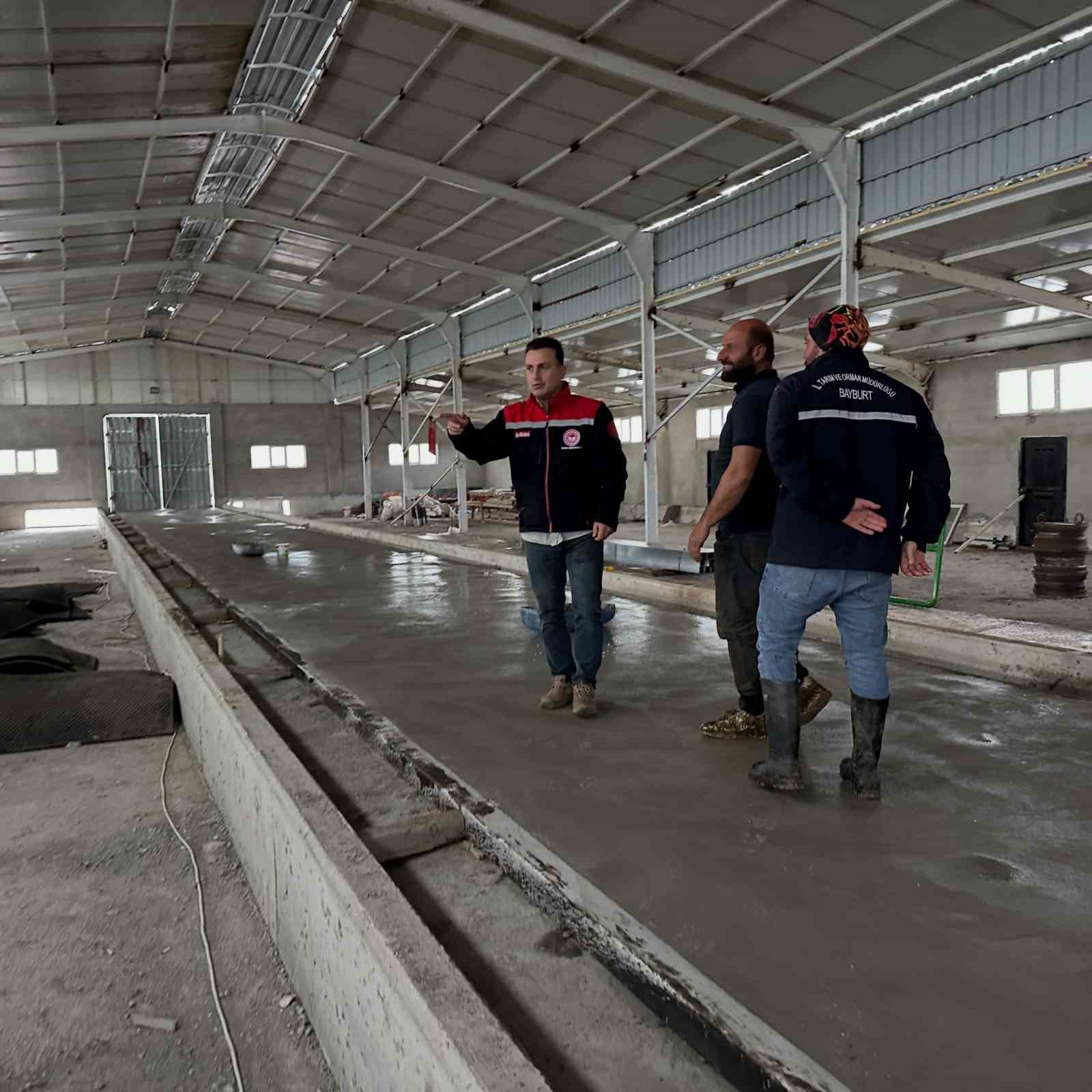 Çatıksu’da modern büyükbaş ahırı inşa ediliyor