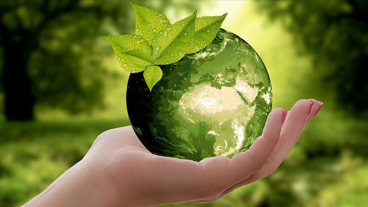 COP31 Türkiye için denizlerde işbirliği ve sıfır karbon fırsatı sunuyor