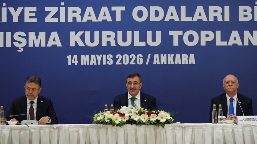 Cumhurbaşkanı Yardımcısı Yılmaz: Bu sene genel büyümemize tarımın katkısı pozitif olacak