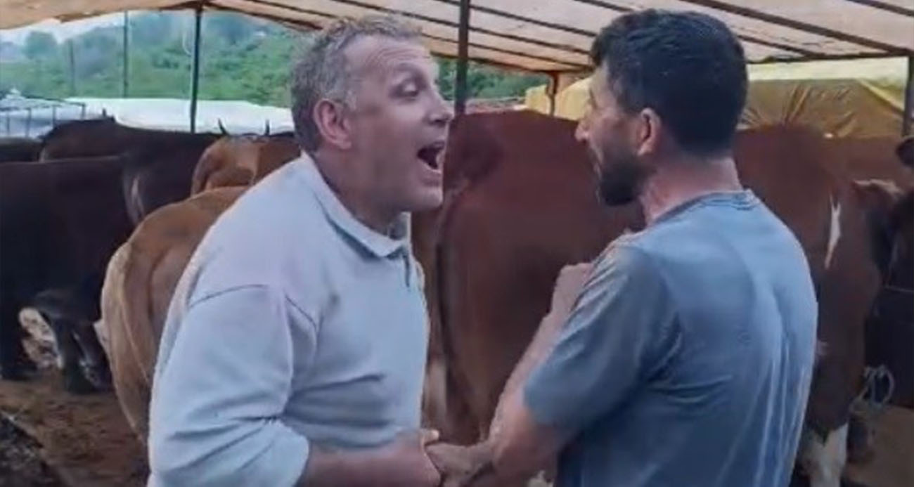 Kurban pazarında dakikalarca süren pazarlık