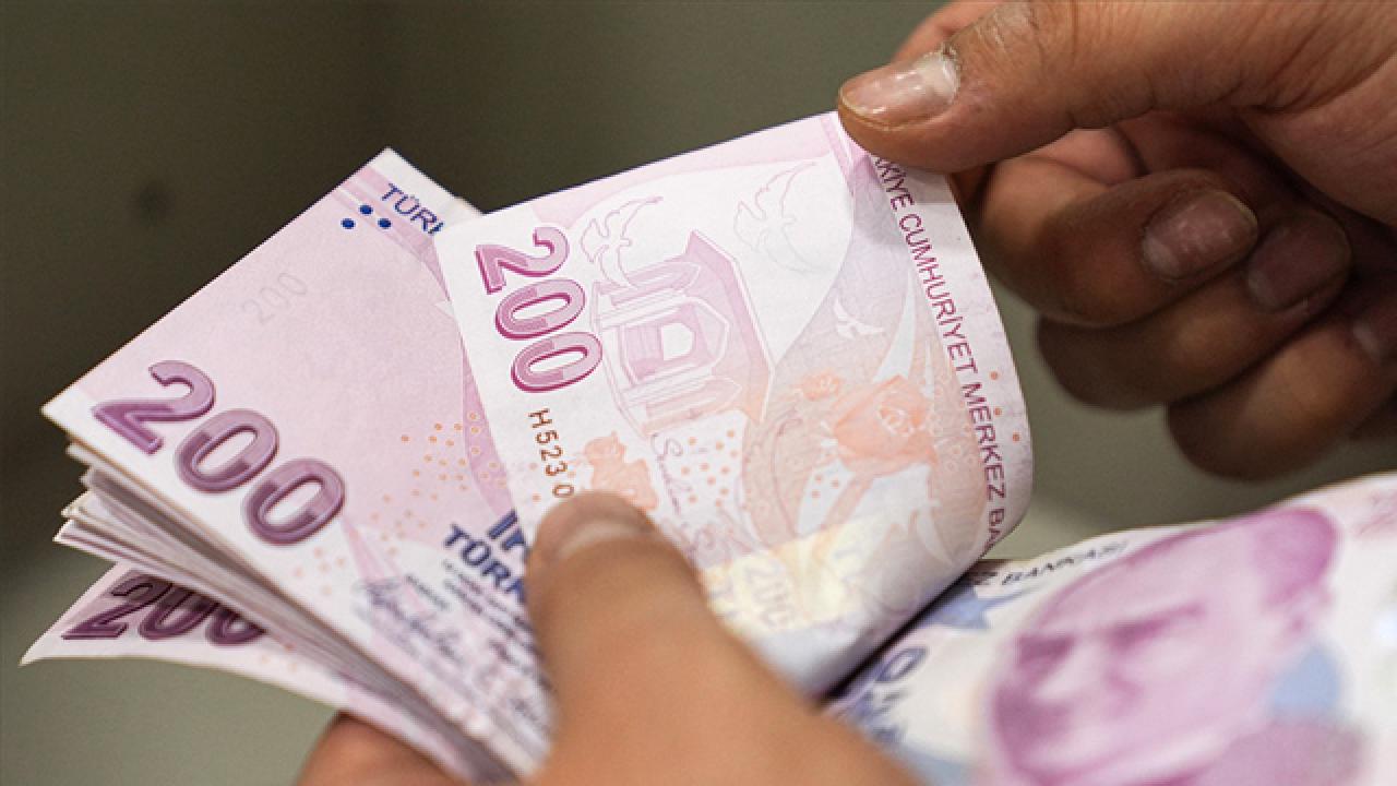 Mayıs ayı Sosyal ve Ekonomik Destek ödemeleri hesaplara yatırıldı