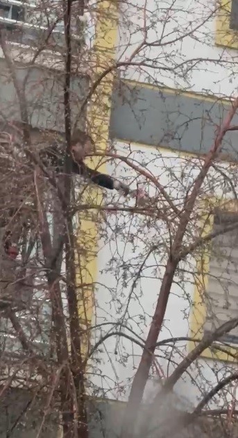 Kars’ta ağaçta mahsur kalan güvercini itfaiye ekipleri kurtardı