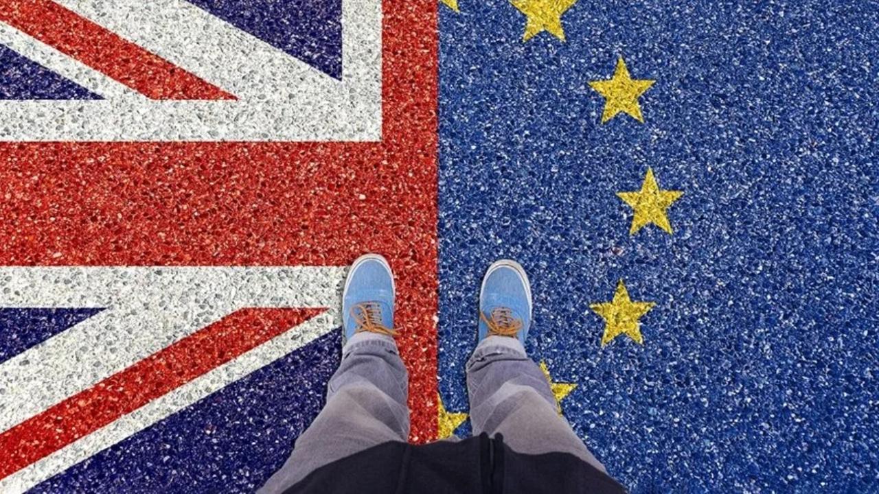 İngiltere'de Brexit yeniden tartışılıyor: AB'ye kim dönmek istiyor?