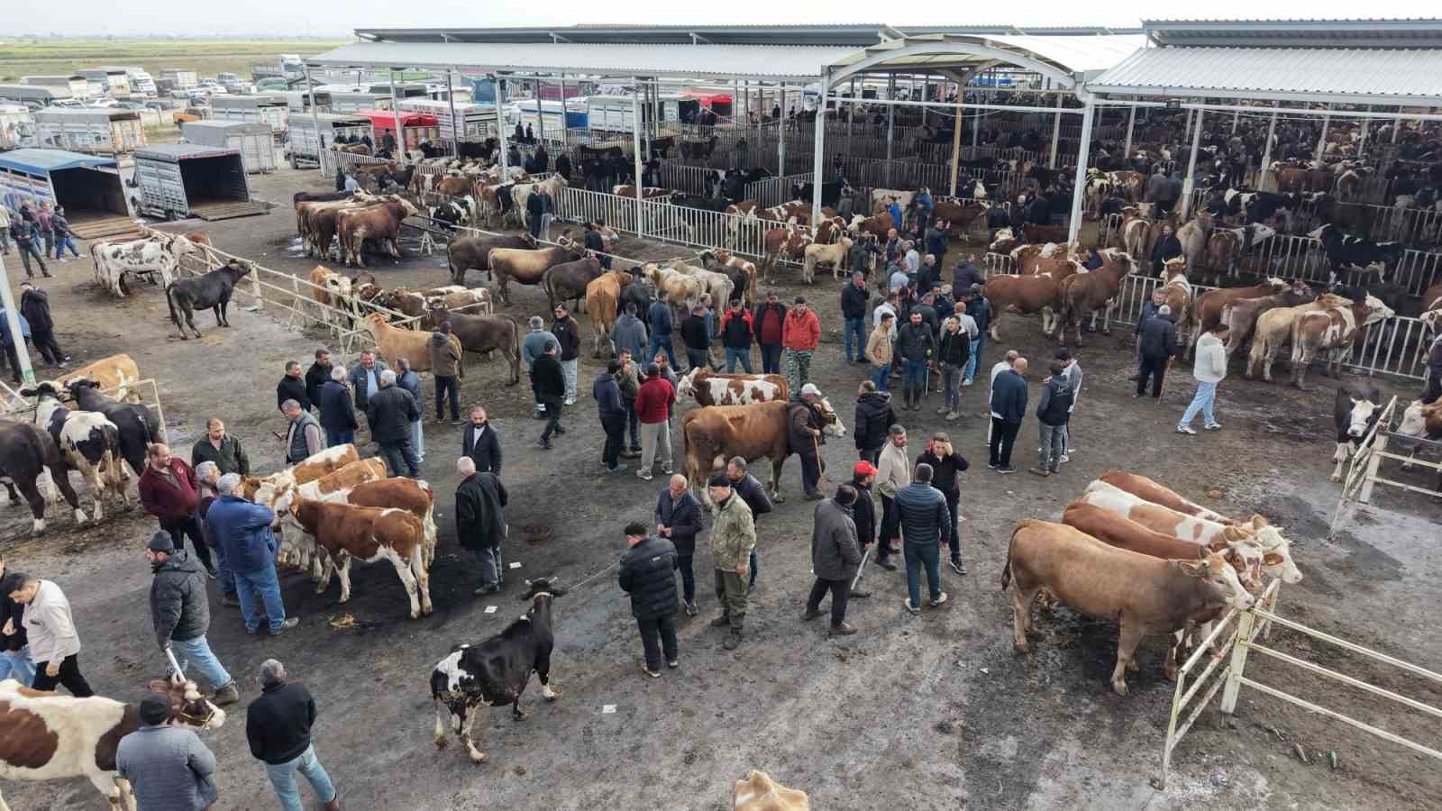 Aksaray’da hayvan pazarında kurban hareketliliği yaşanıyor
