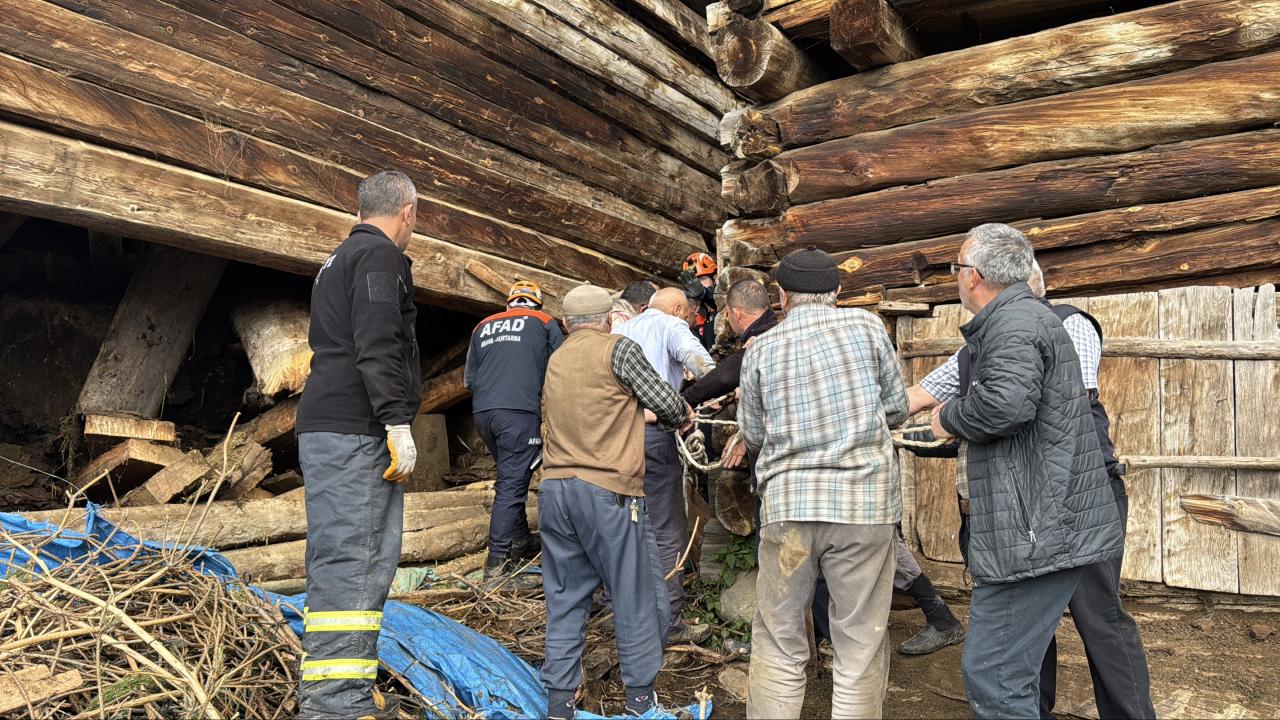 Kastamonu'da çöken ahırın enkazı altında kalan kadın öldü