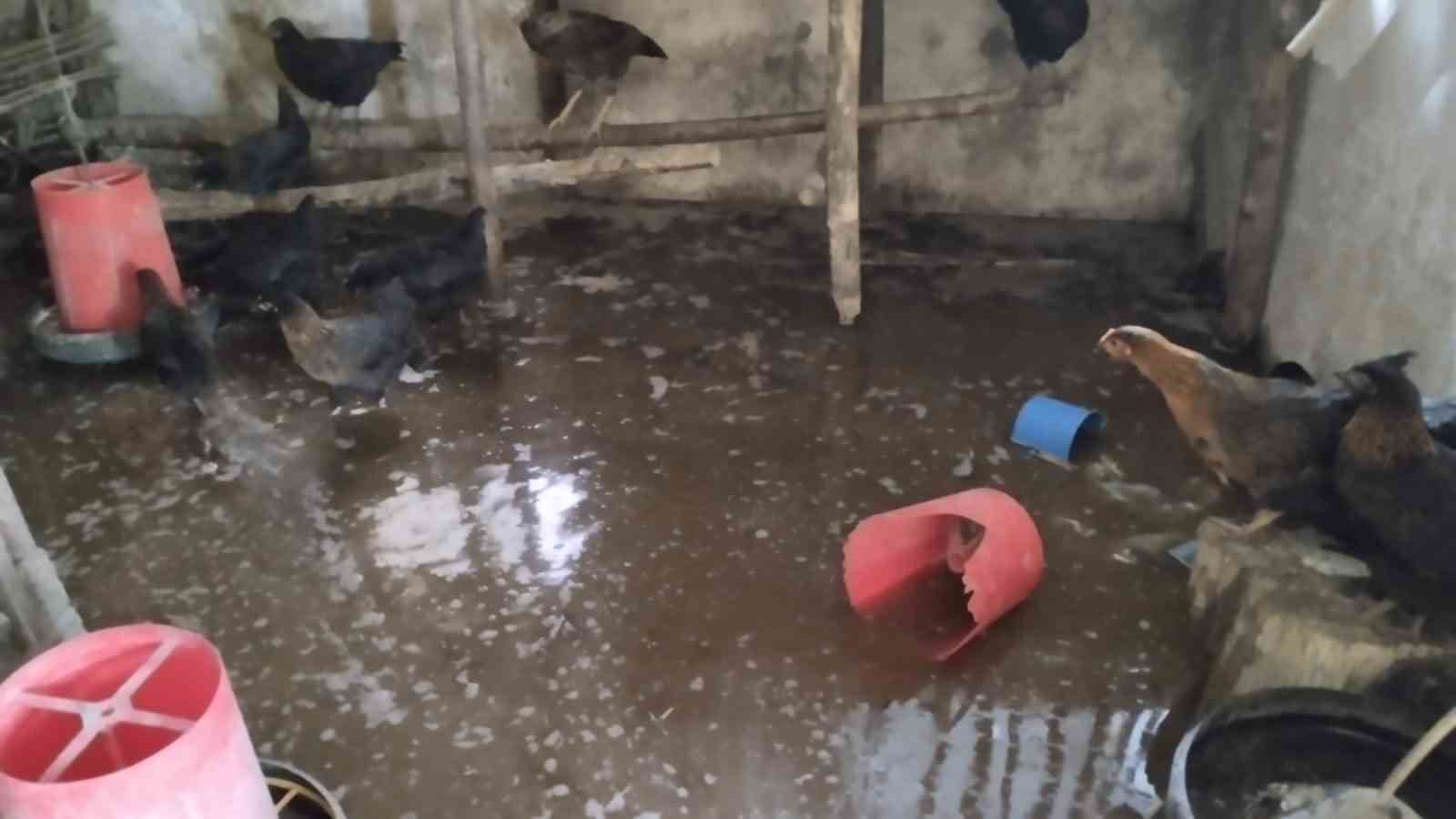 Tercan’da kümesi su bastı, civcivler telef oldu