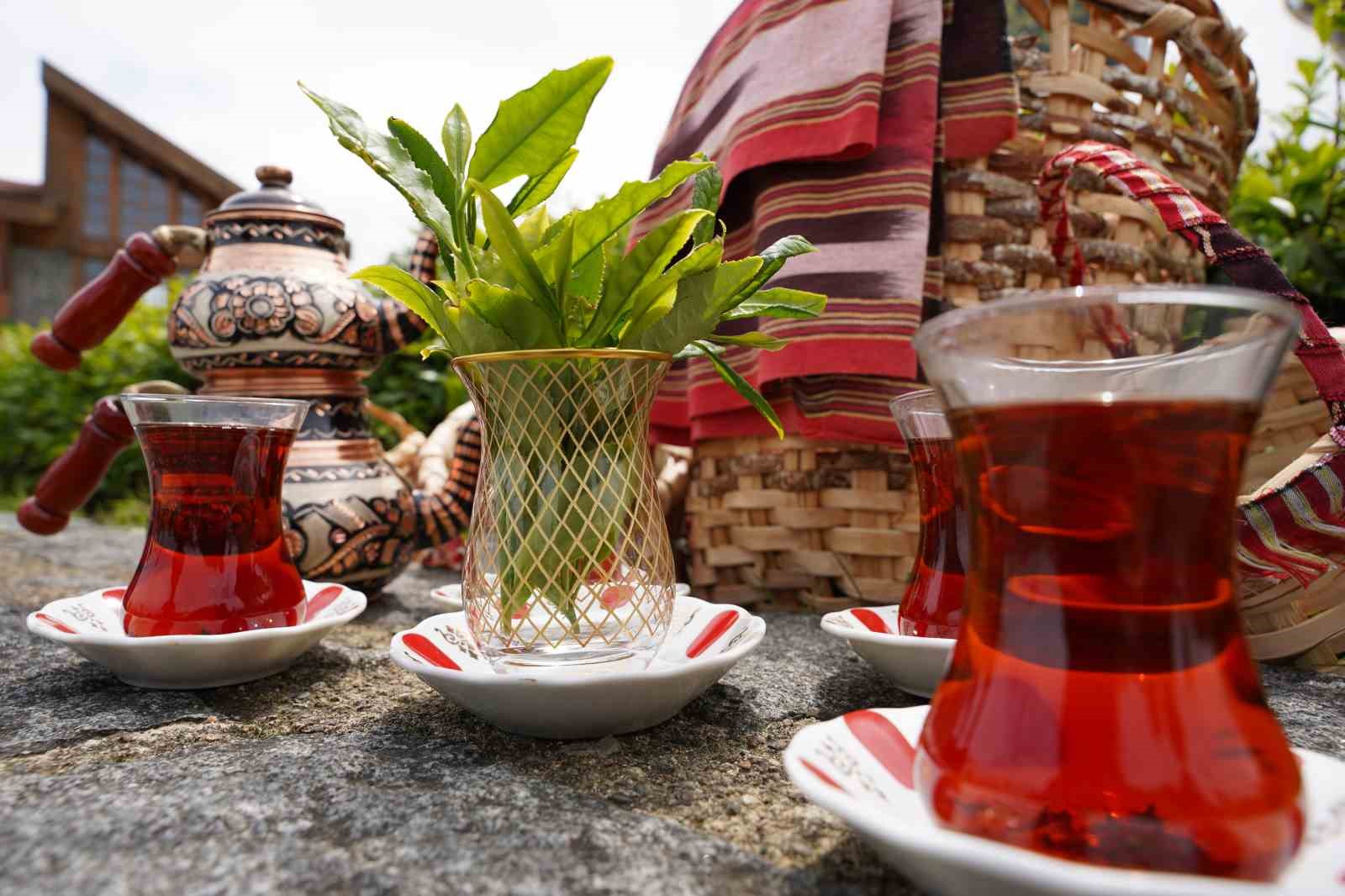 Rize’de Dünya Çay Günü etkinliği