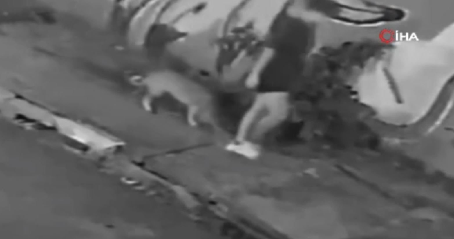 Köpeğini gezdirirken kanalizasyona düştü