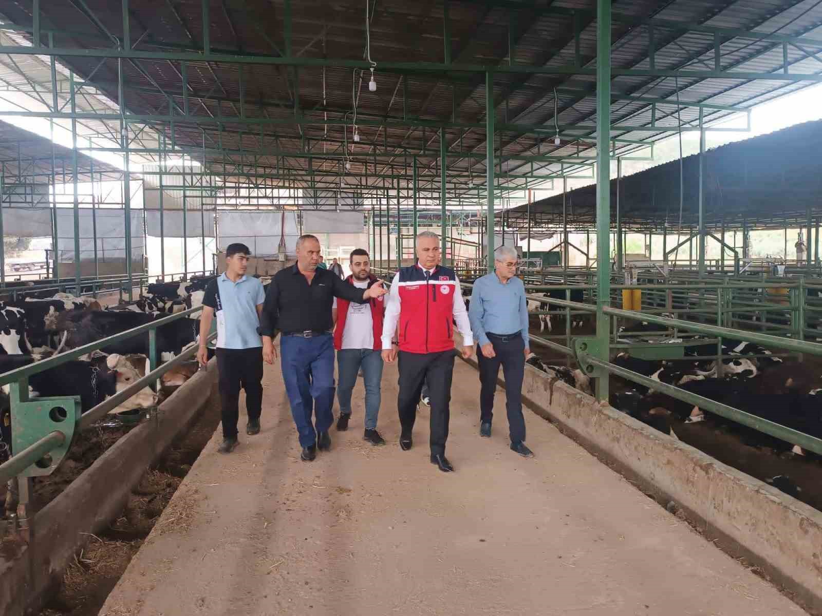 Kurban Bayramı öncesi hayvan satış yerlerinde sıkı denetim