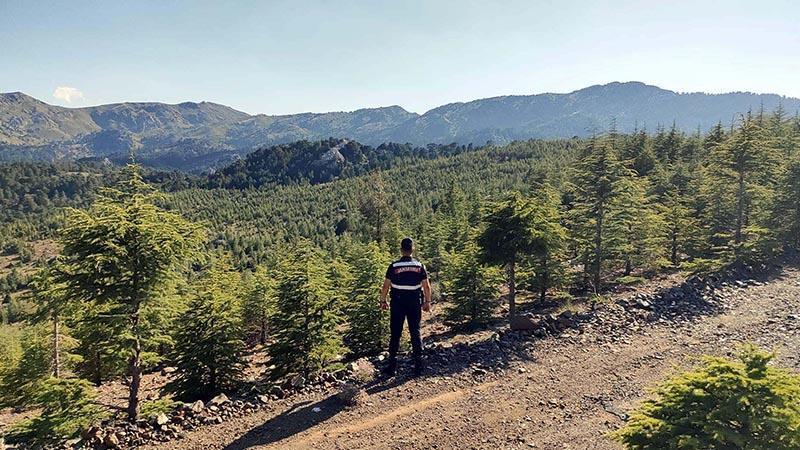 Muğla'da ormanlara giriş yasağı