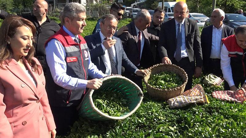 Artvin'de çay hasadı başladıDoğu Karadeniz’de yaş çay sezonunun açılmasının ardından Artvin’de Vali Turan Ergün, ÇAYKUR Genel Müdürü birlikte çay hasadı yaptı.