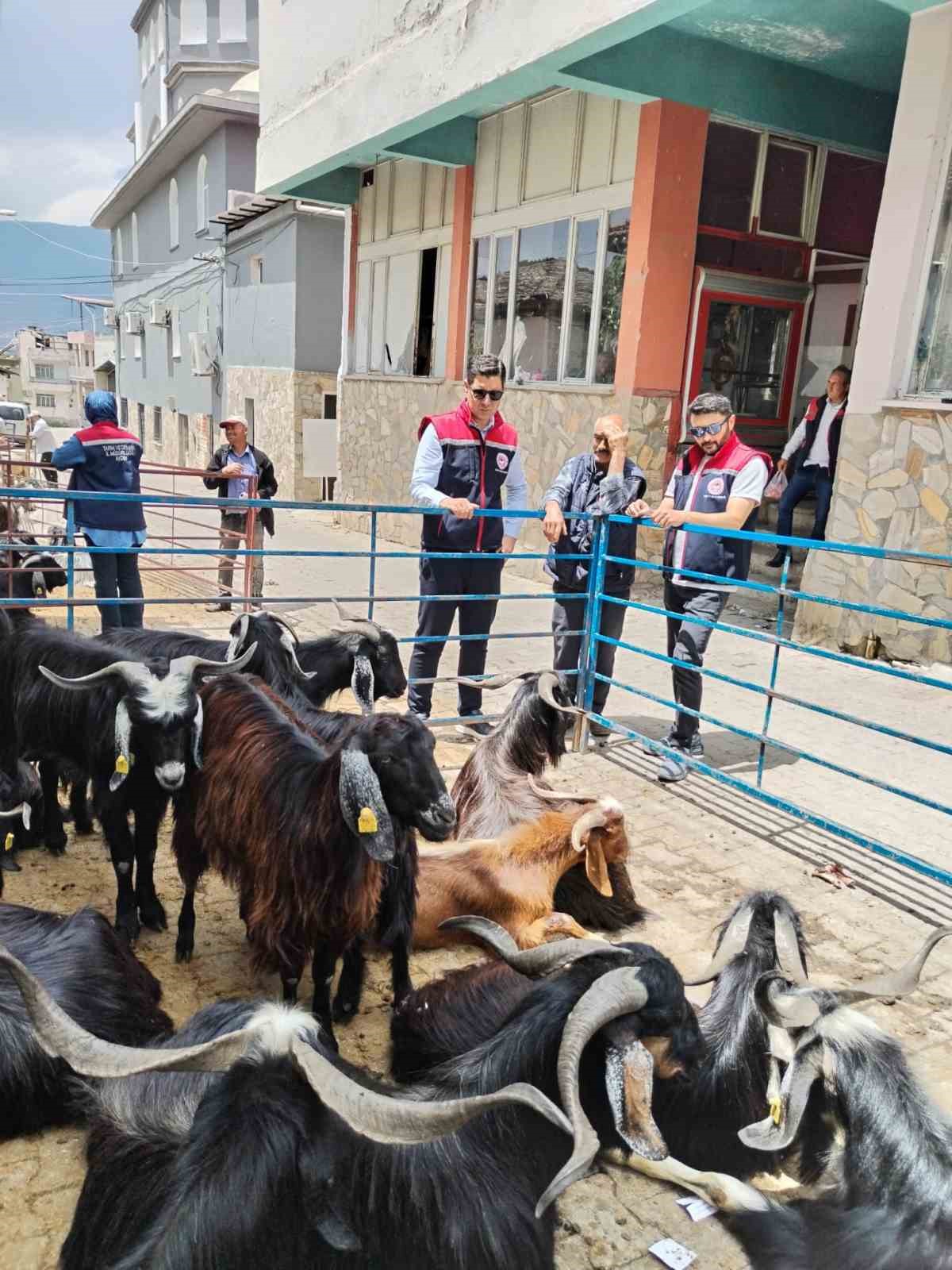 Bozdoğan’da kurban satış yerleri denetlendi