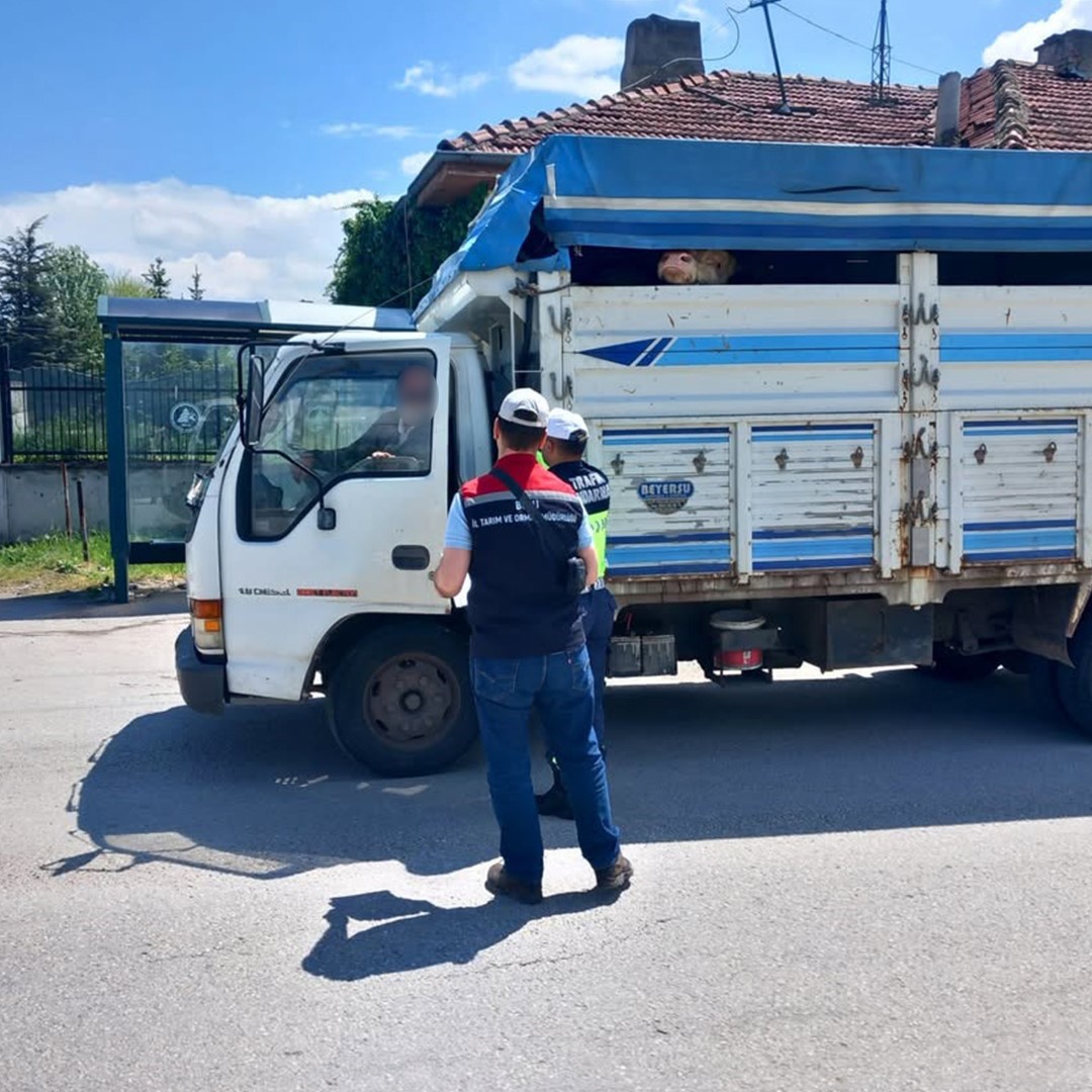 Bolu’da kurbanlık nakil araçları kontrol edildi