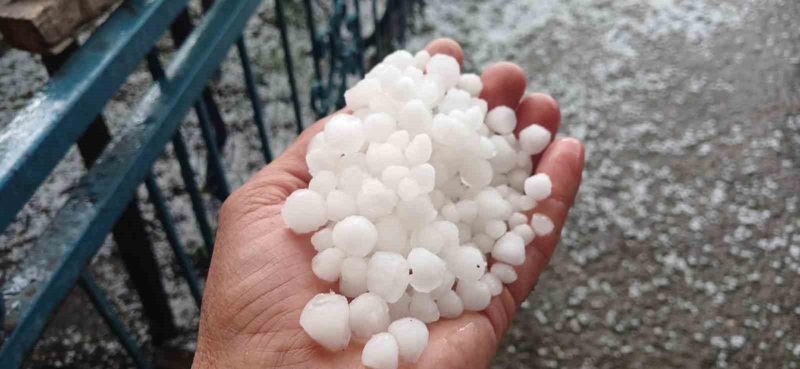Malatya’da dolu kayısı bahçelerine zarar verdi