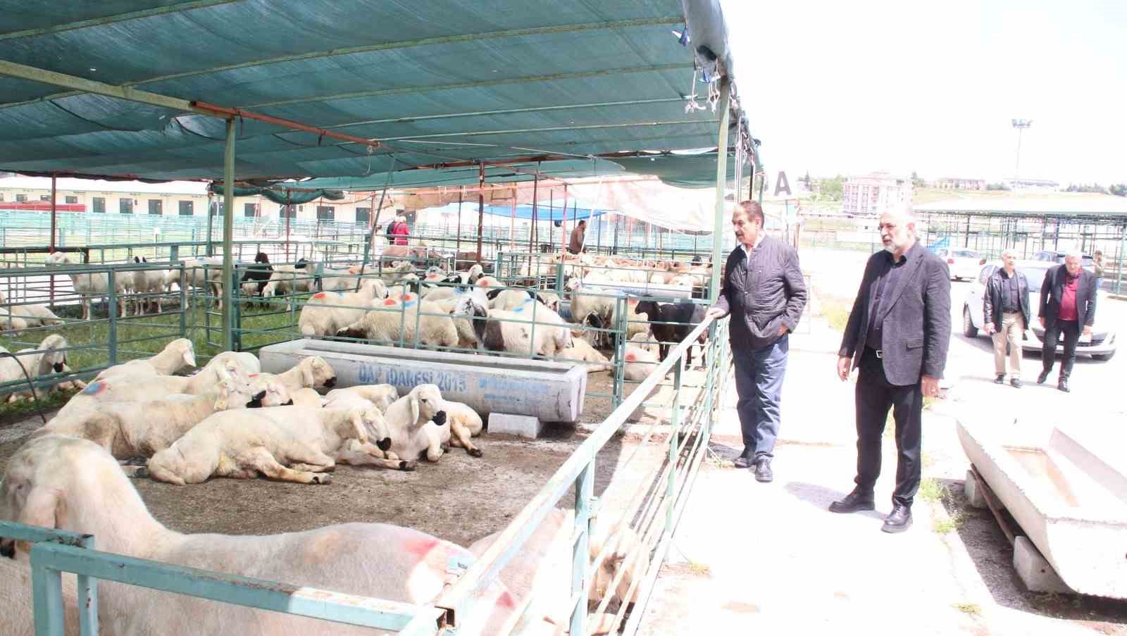 MESOB Başkanı Keskin: "Canlı Hayvan Pazarı yeniden kamu malı olmalı"
