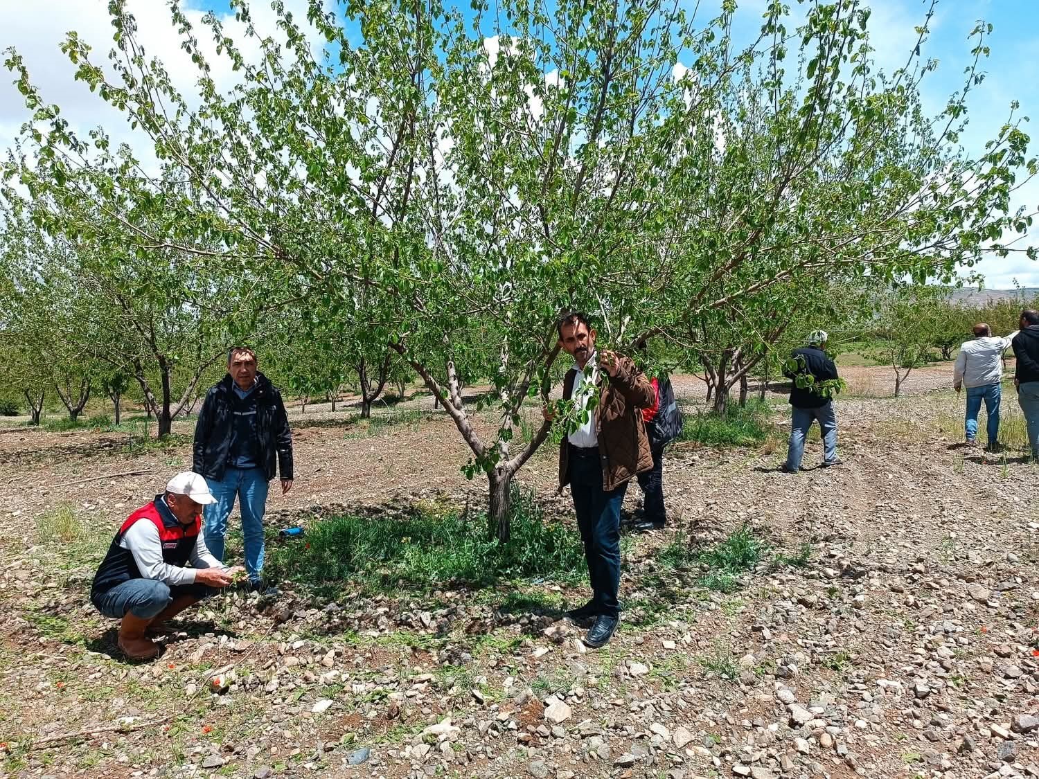 Elazığ’da dolu sonrası hasar tespiti yapıldı