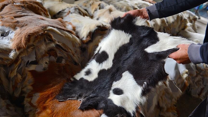 Kurban derileri Türk deri sektörüne can suyu oluyor
