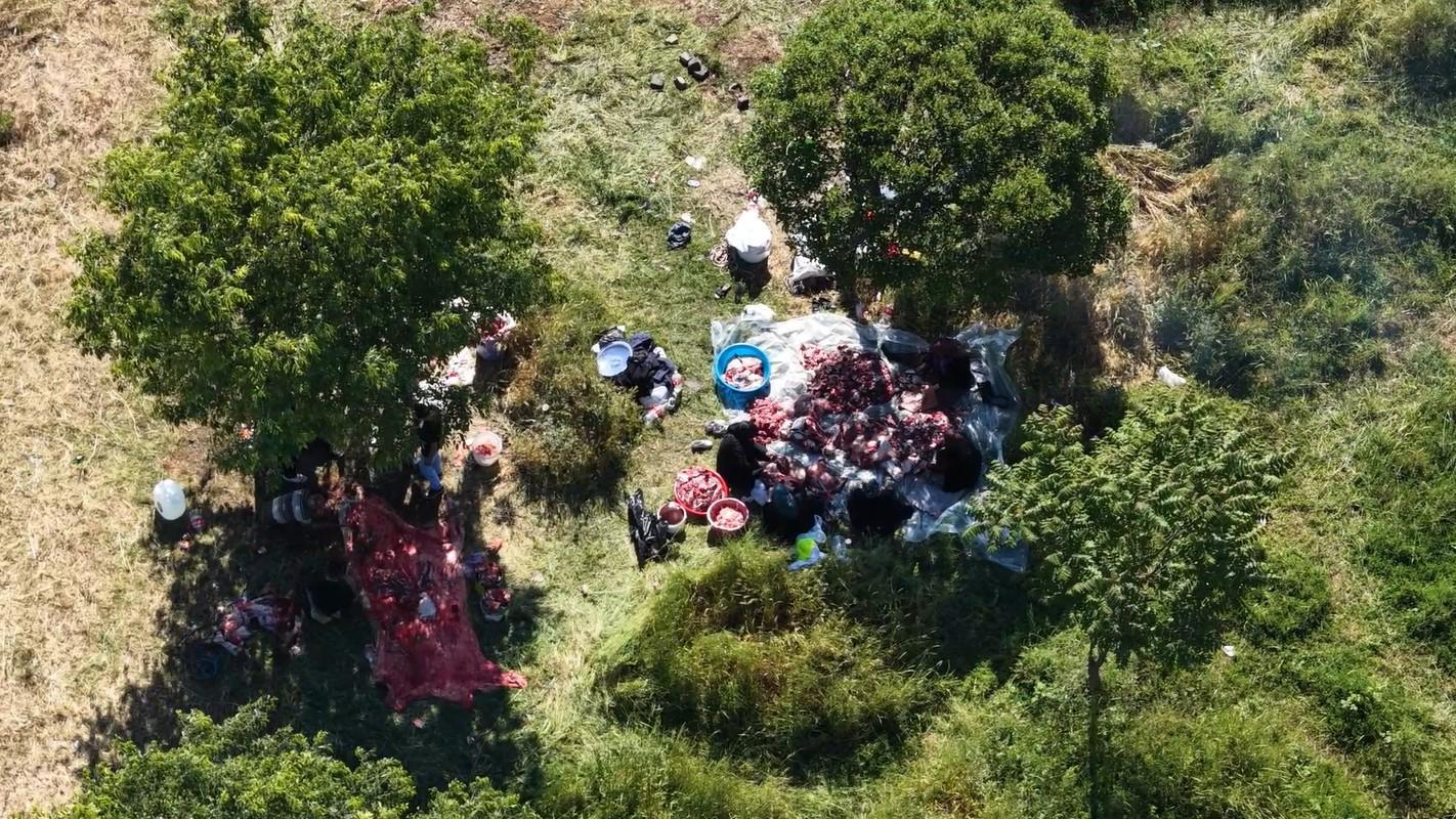 Sultangazi'de kurbanlıkları yol kenarları ve parklarda kestiler