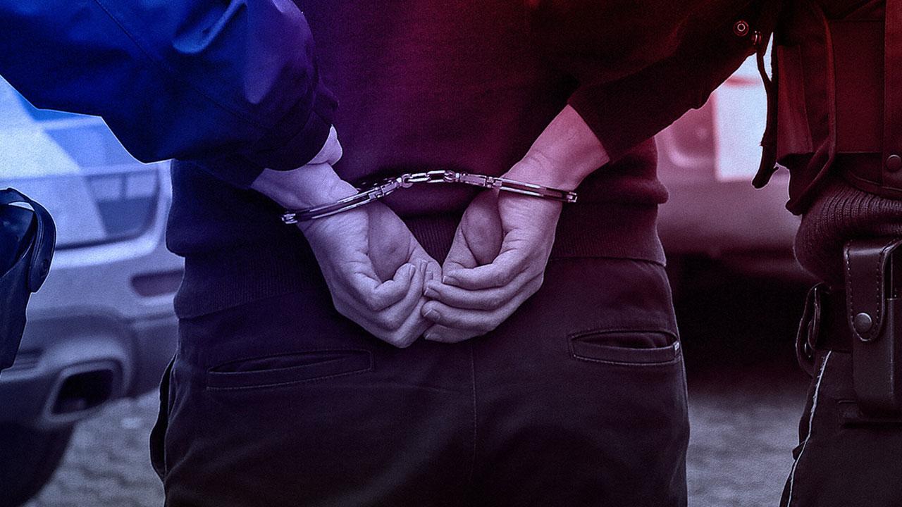 33 kedinin ölümü cezasız kalmadı
