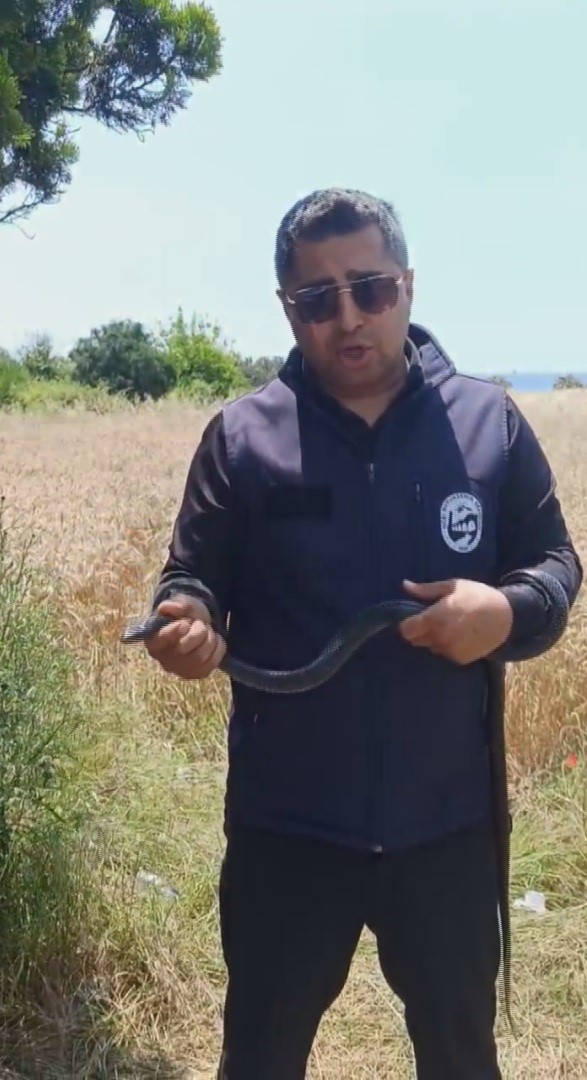 Hatay’da yaşlı kadının evine giren yılanı yakalayan Yılancı Kemal ‘Sevgili karayılan insanlardan uzak dur’ sözleriyle doğaya saldı
