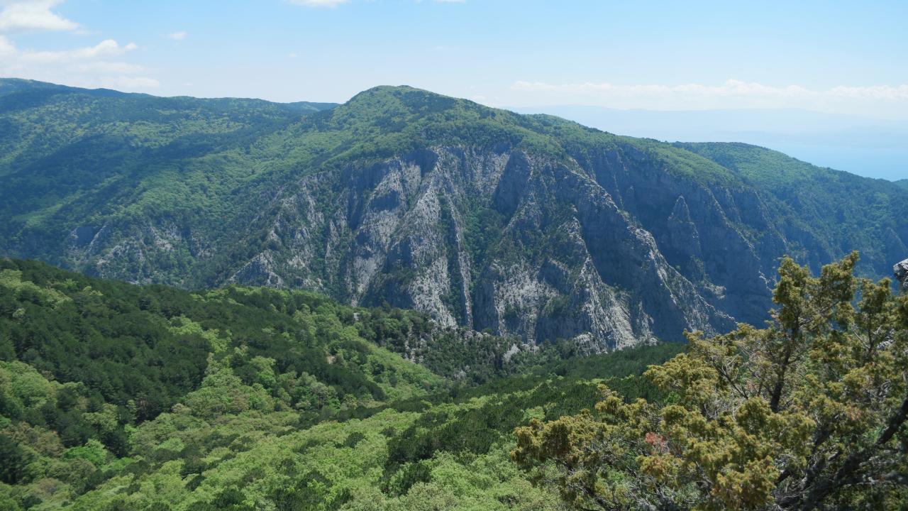 Kazdağları Milli Parkı'nın büyük bölümü ziyarete kapatılıyor