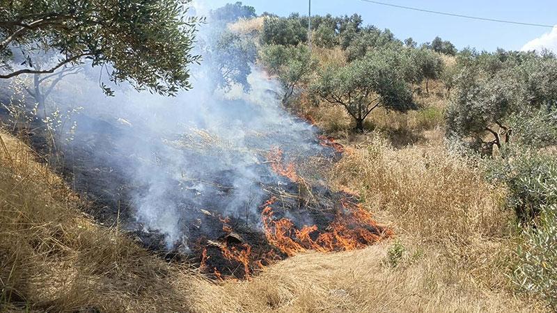 Aydın'da maki yangını; 40 dekar alan zarar gördüAydın'ın Yenipazar ilçesindeki makilik bölgede çıkan yangın, havadan ve karadan müdahale ile 2 saatte söndürüldü. Yangında ilk belirlemelere göre 40 dekar alan zarar gördü.