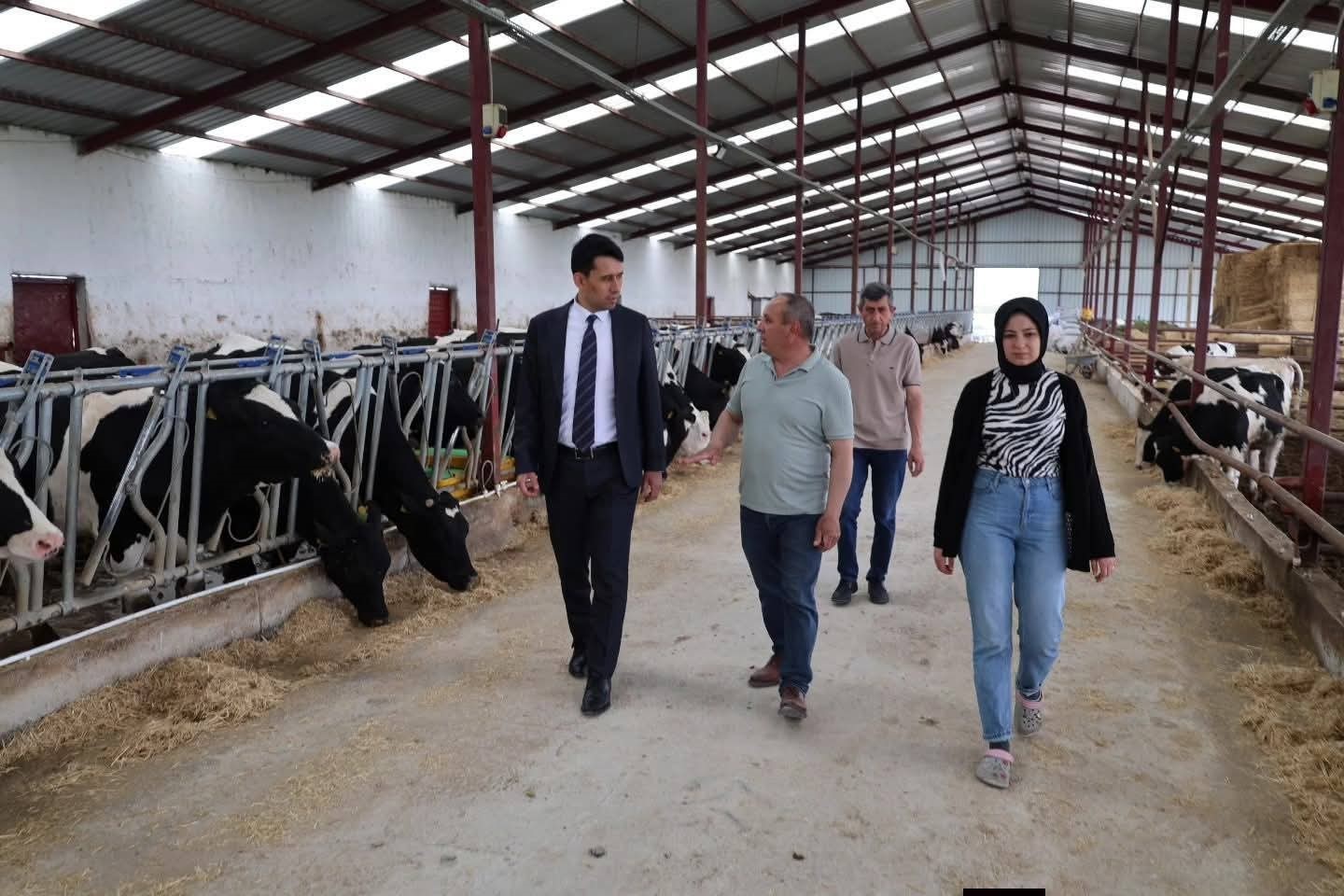 Beylikova Kaymakamı Kantilav, hayvancılık faaliyetlerini inceledi