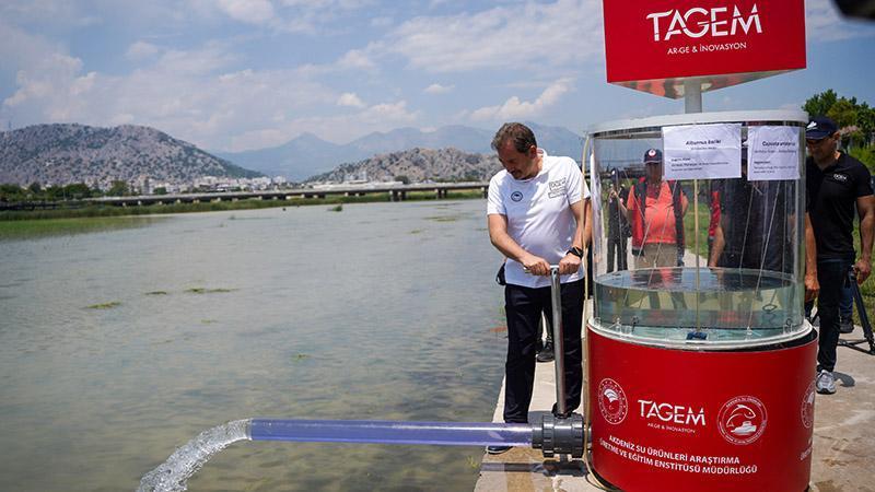 Yok olmanın eşiğinden dönen 2 endemik tür balığın yavruları suyla buluşturuldu